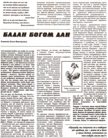Бадан лист 100 гр. в Сочи
