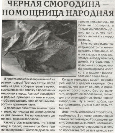 Смородина лист 200 гр. в Сочи