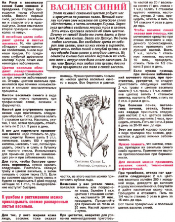 Василек цветки 100 гр. в Сочи
